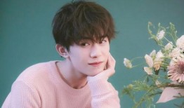 王源江苏卫视爆料视频,揭秘明星幕后故事